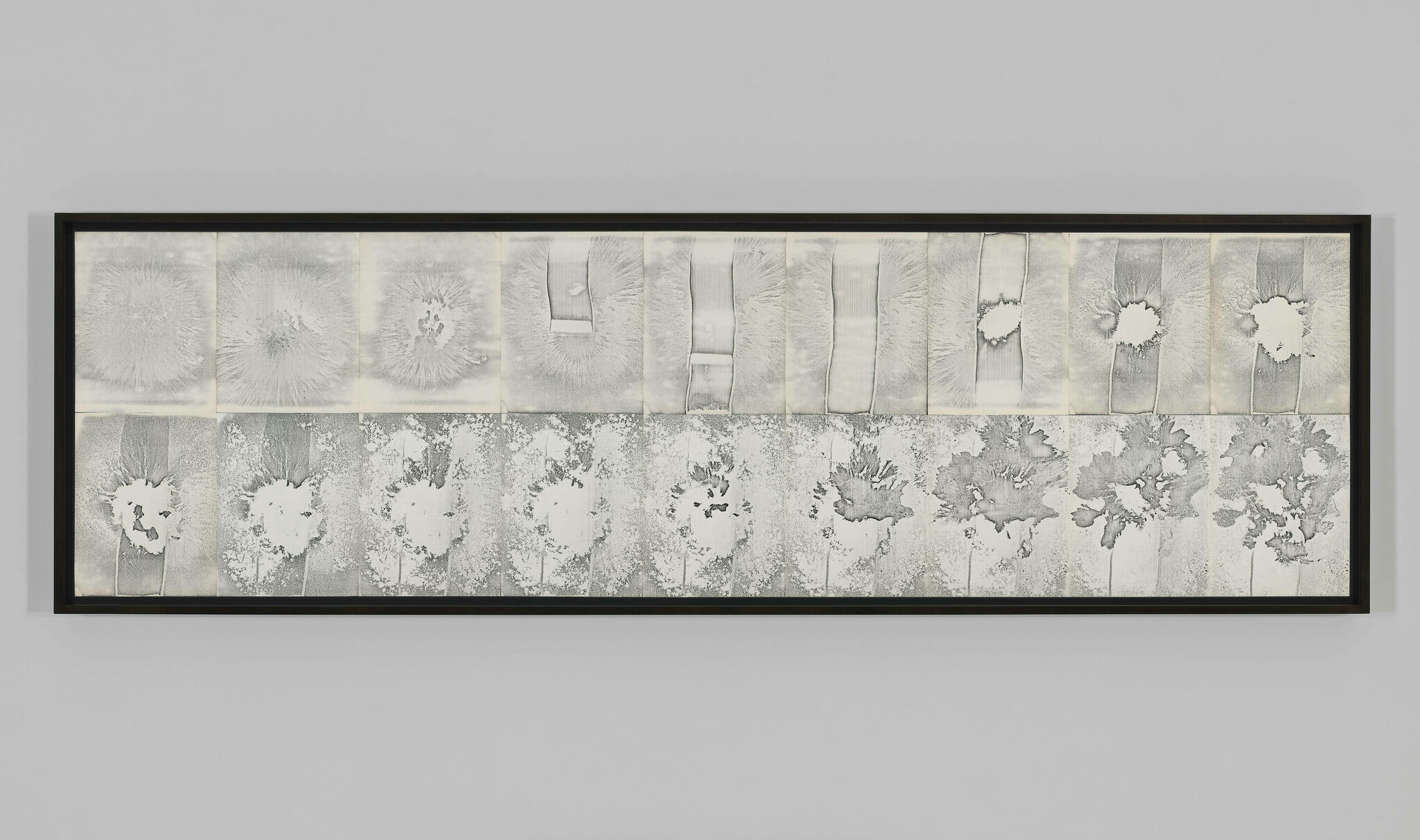 A long horizontal framed artwork displaying a series of abstract monochromatic patterns, with textures that resemble crystalline or floral shapes, mounted on a light gray wall.