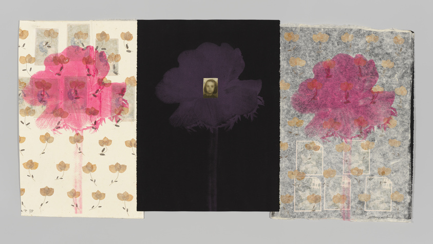 A triptych collage with three panels, each featuring a different background and a central floral motif. The left panel has a cream background with a pattern of small brown flowers, overlaid with a large, translucent pink flower. The middle panel is black with a large, opaque purple flower, at the center of which is a small, vintage portrait of a person's face. The right panel has a gray, fibrous texture with a pattern of brown flowers similar to the left, overlaid with another large, translucent pink flower. There are faint outlines of buildings within the right flower. The artwork has a mixed-media appearance, combining print, photography, and painting elements.