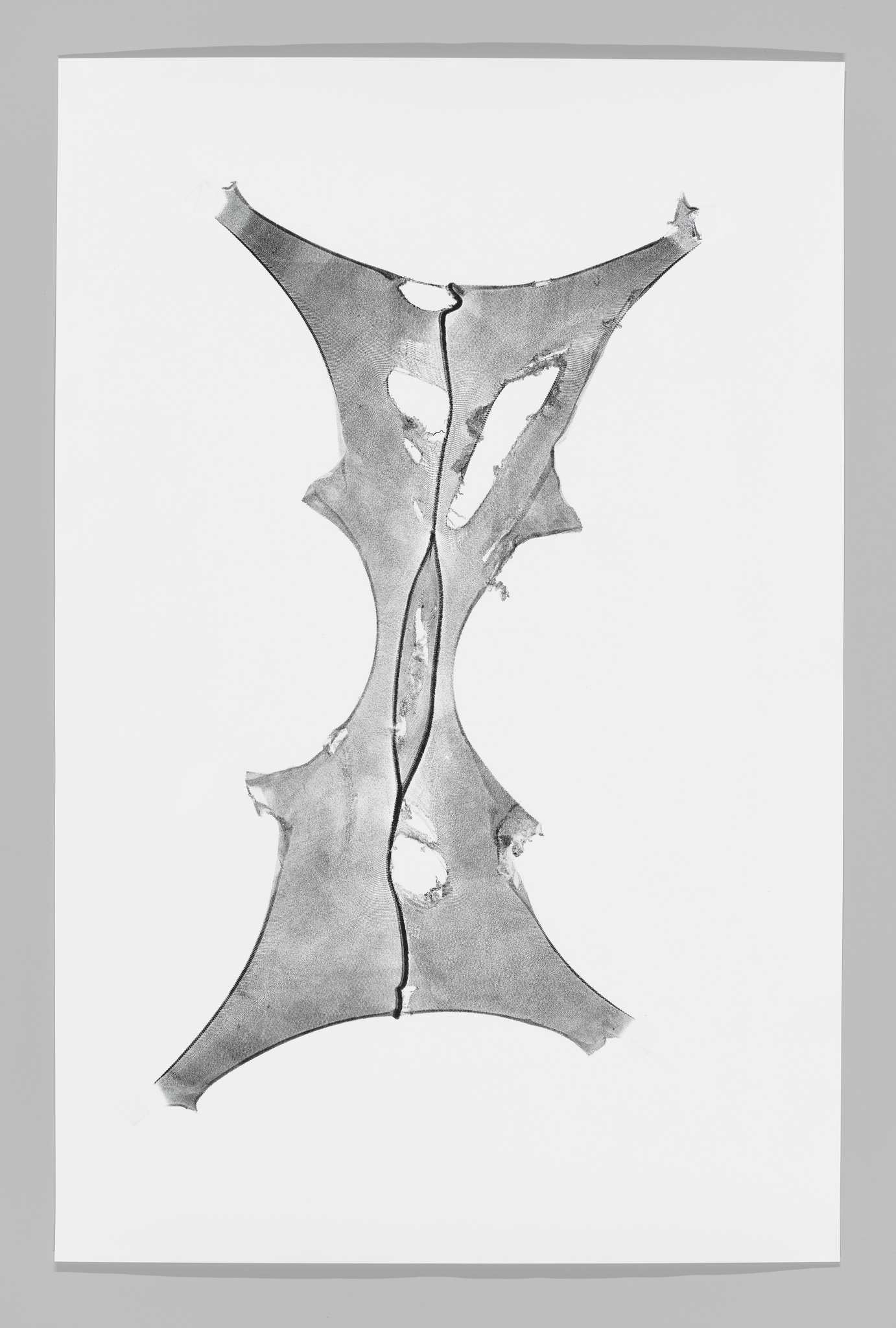 A piece of tearing fabric stretched out against a white background.