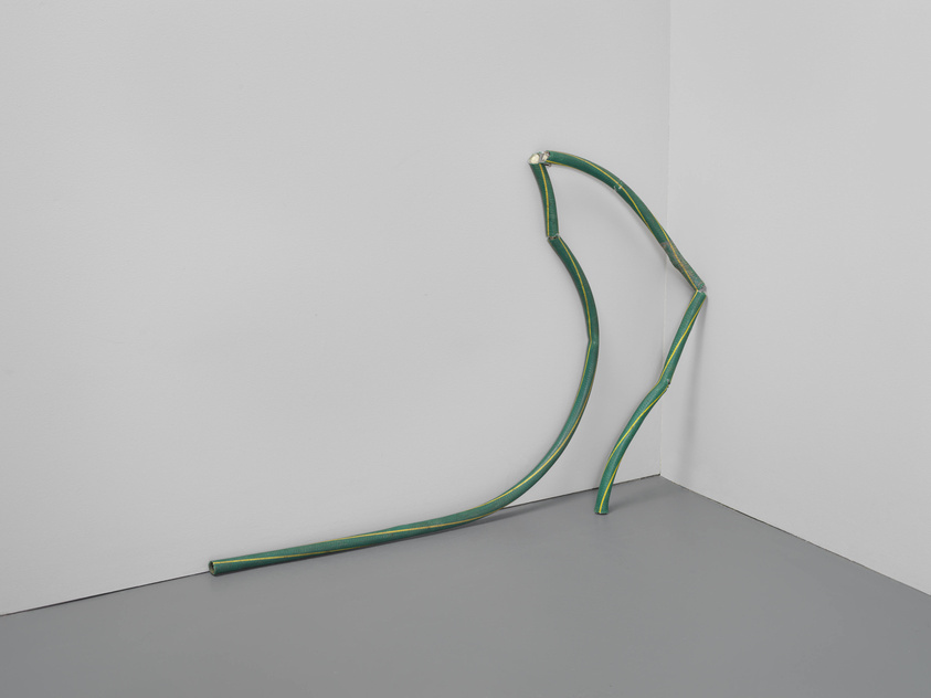 A green garden hose with yellow stripes is arranged in a fluid, curved shape against a white gallery wall, with one end touching the grey floor.
