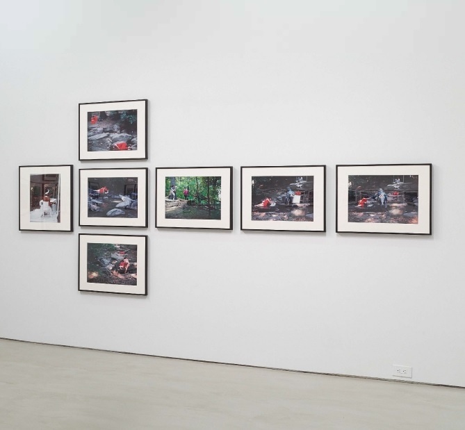 A gallery wall with eight framed photographs in a staggered arrangement.