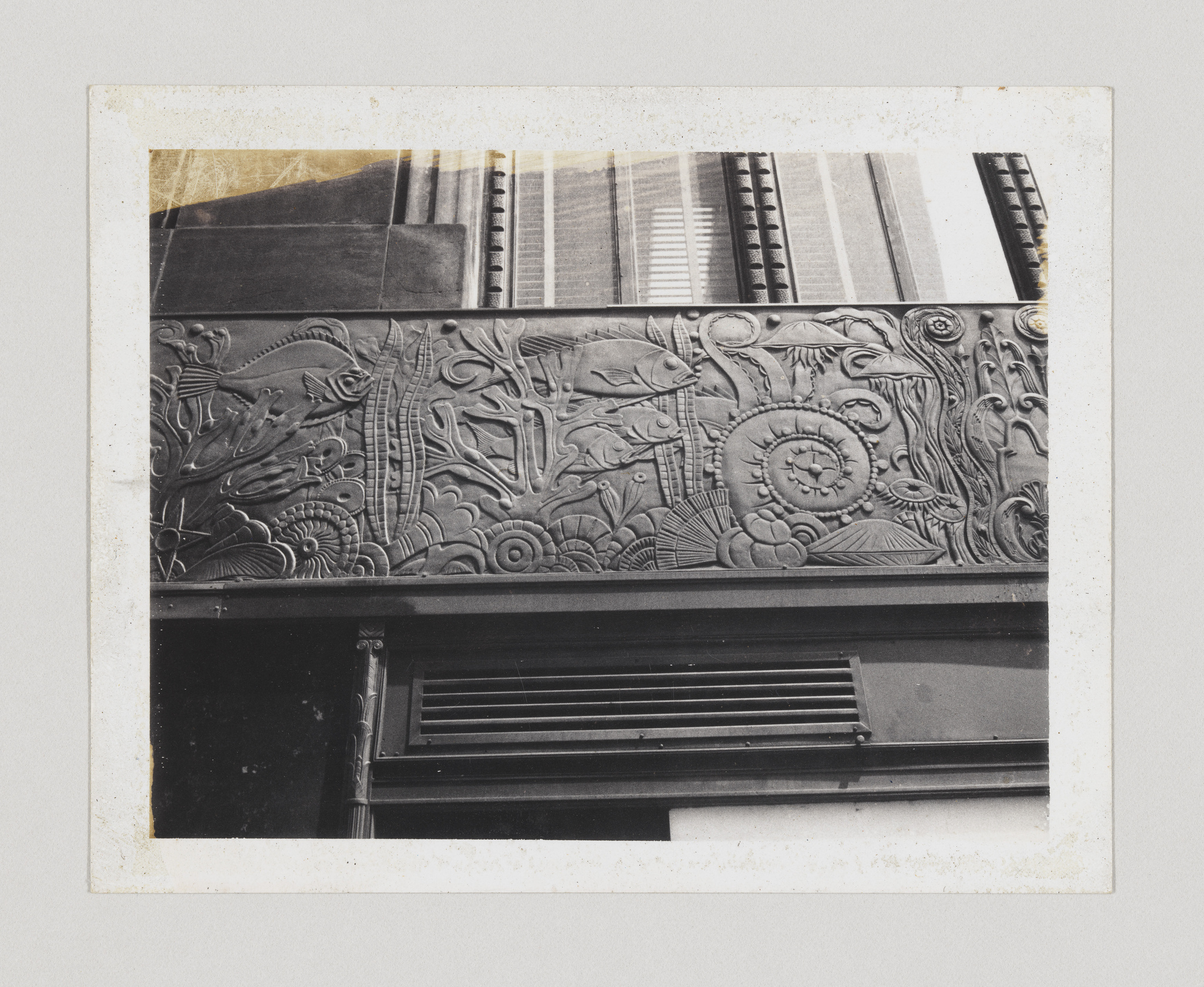 A vintage black and white photo depicting an ornate, floral relief sculpture on a building facade, framed by parts of adjacent windows with closed shutters. The image has a worn, aged border suggesting it is an old photograph.