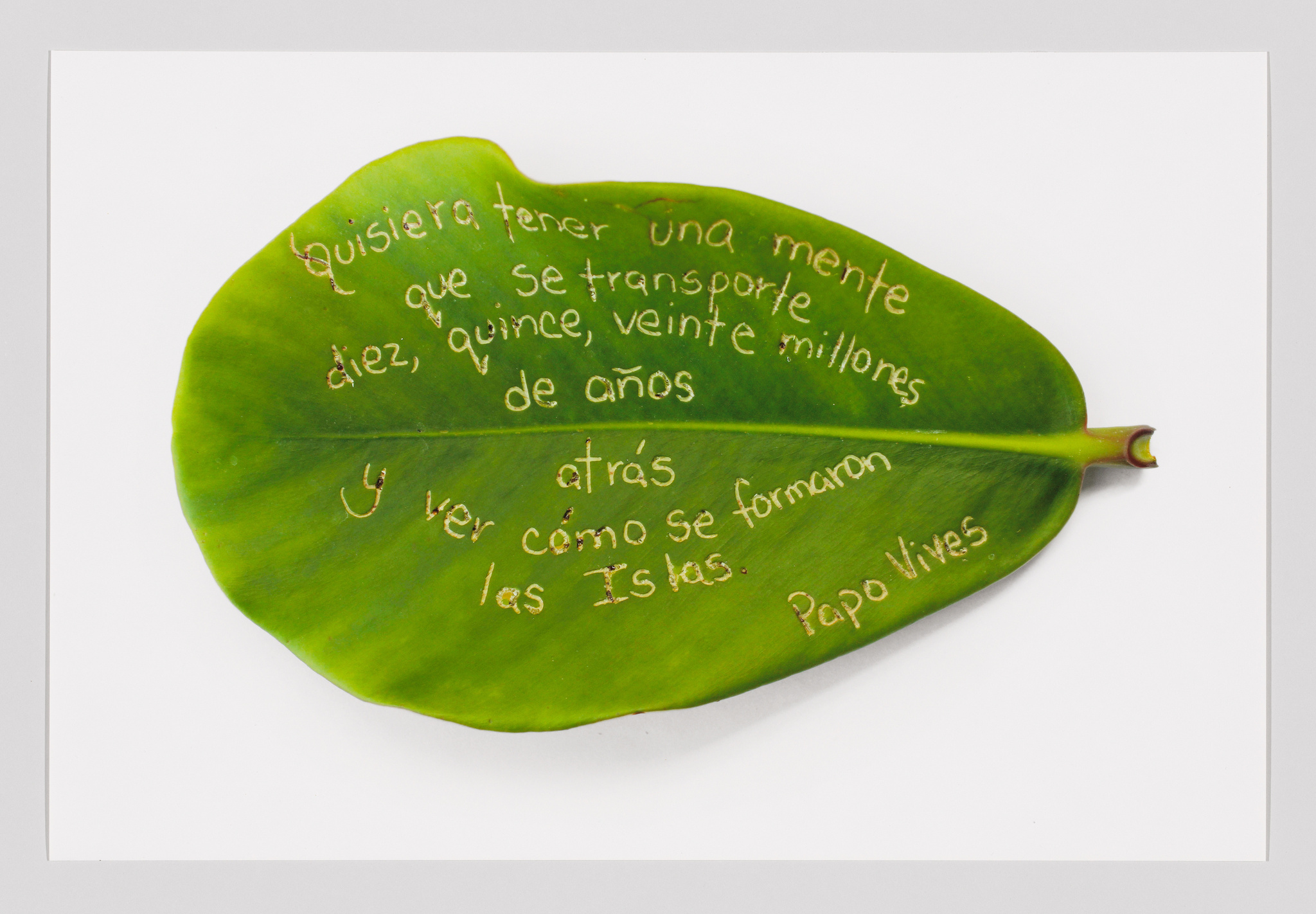 Green leaf with Spanish text etched into it: "Quisiera tener una mente que se transporte diez, quince, veinte millones de años atrás y ver cómo se formaron las Islas. Papo Vives."