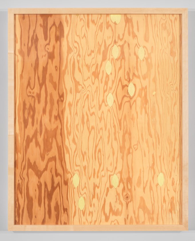 A sheet of plywood with a light wood frame, showing several oval-shaped patches on the surface.