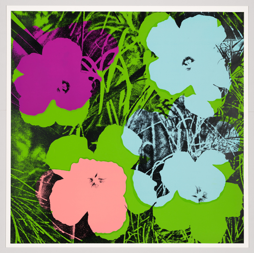Colorful pop art flowers in pink, purple, and blue with green leaves on a dark, textured background.