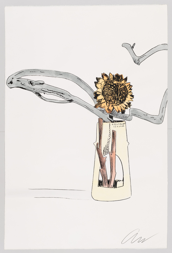 A whimsical illustration featuring a snake with a sunflower for a head, emerging from a glass jar. The snake's body flows in and out of the jar, with the sunflower snugly fitted at the neck of the jar, serving as the creature's head. The artwork has a minimalist style with delicate line work and splashes of color primarily on the sunflower and the jar's contents.
