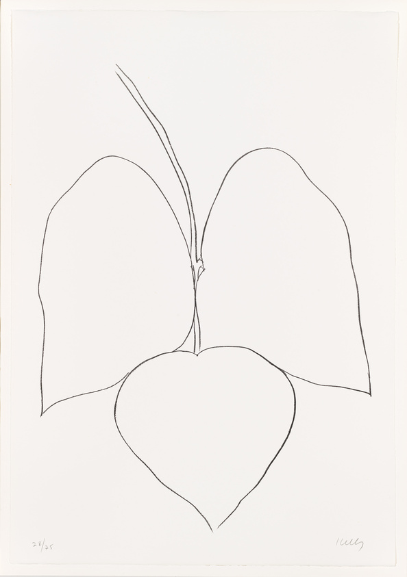 A minimalist line drawing of two leaves and a heart-shaped fruit or blossom, resembling a botanical illustration, on a white background. The leaves are broad and curved, meeting at a central stem that extends into the heart shape below. The artwork is numbered and signed by the artist in the lower corners.