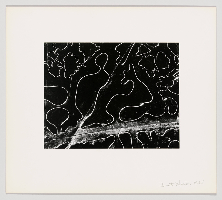 A black and white abstract print featuring fluid, organic shapes and lines that resemble plant-like forms, with a signature and date in the lower right corner on the white border.