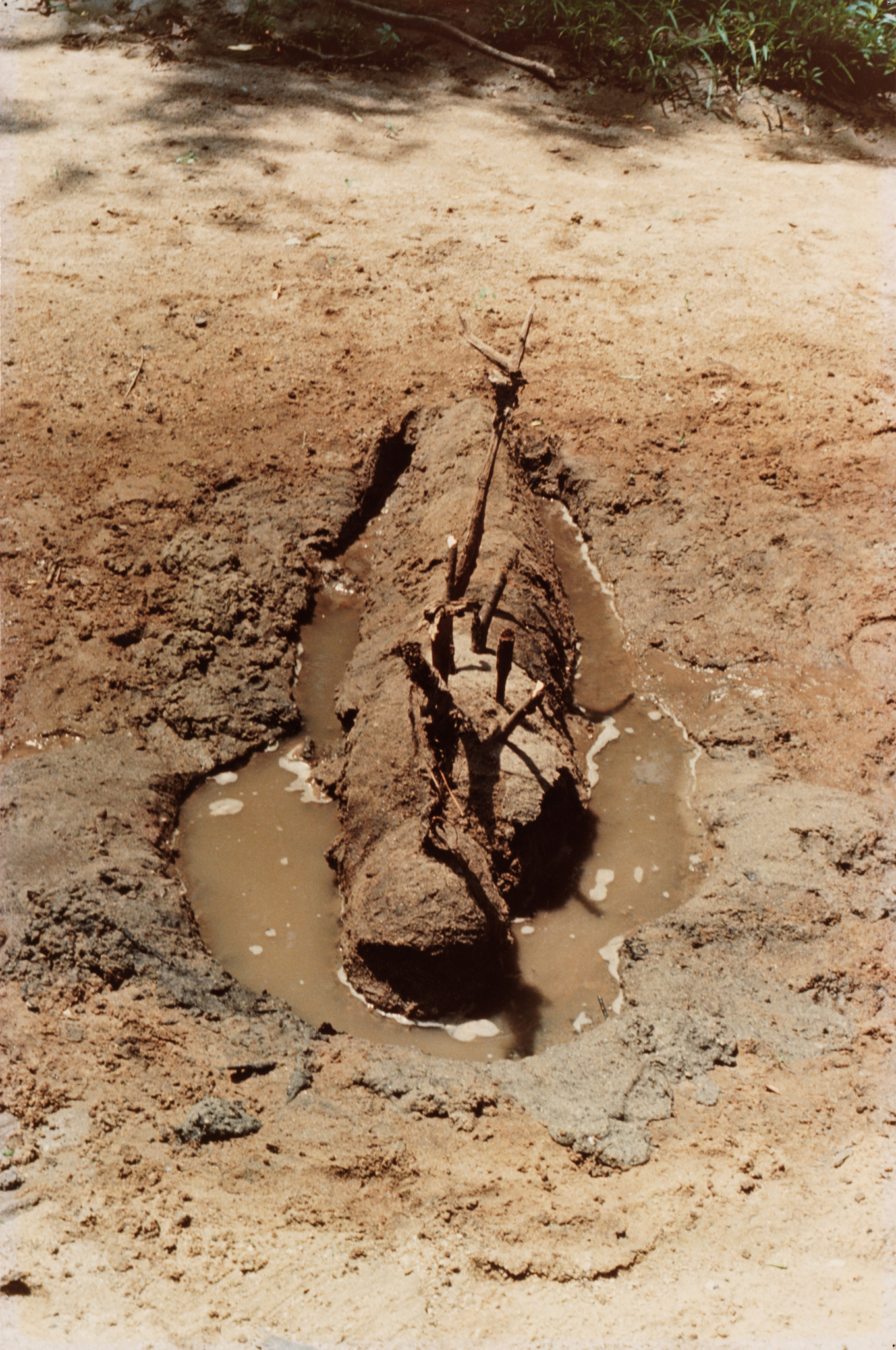 A muddy area with a log and sticks surrounded by shallow water on sandy ground.