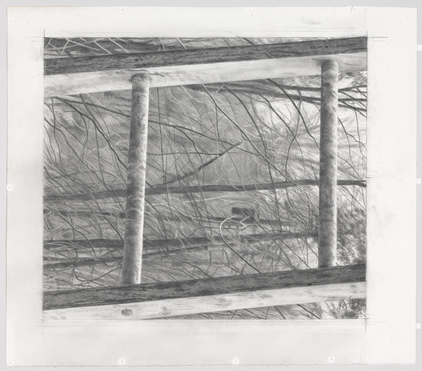 A detailed pencil drawing depicting a rustic wooden fence with two vertical posts and a horizontal beam, set against a backdrop of tangled brush and branches. The image conveys a sense of looking through the fence into a dense thicket.