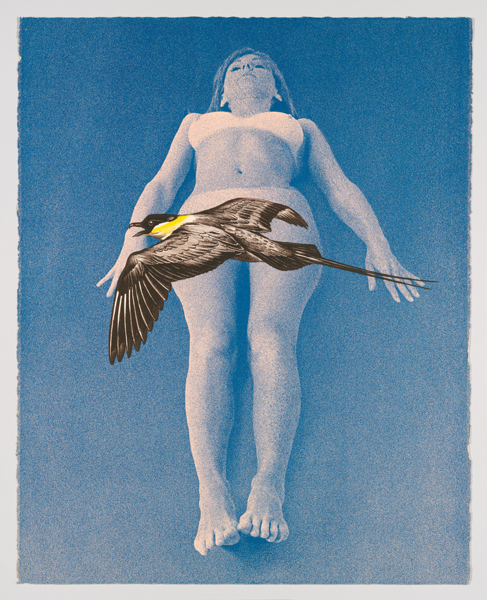 Illustration of a bird in flight superimposed on a standing human figure against a blue background.