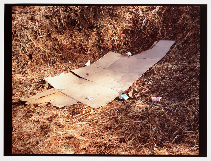 Discarded cardboard and litter on dry grass.