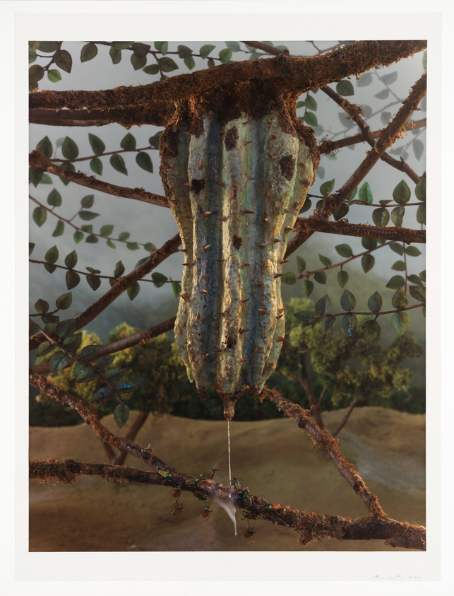 A detailed artwork depicting a rusted, metallic-looking structure resembling a wasp nest, suspended among branches with leaves. The branches are covered in a rust-like texture, and ants are seen crawling on them. A viscous liquid drips from the bottom of the structure, suggesting a fusion of the organic and the industrial. The background features a soft-focus landscape with gentle hills.