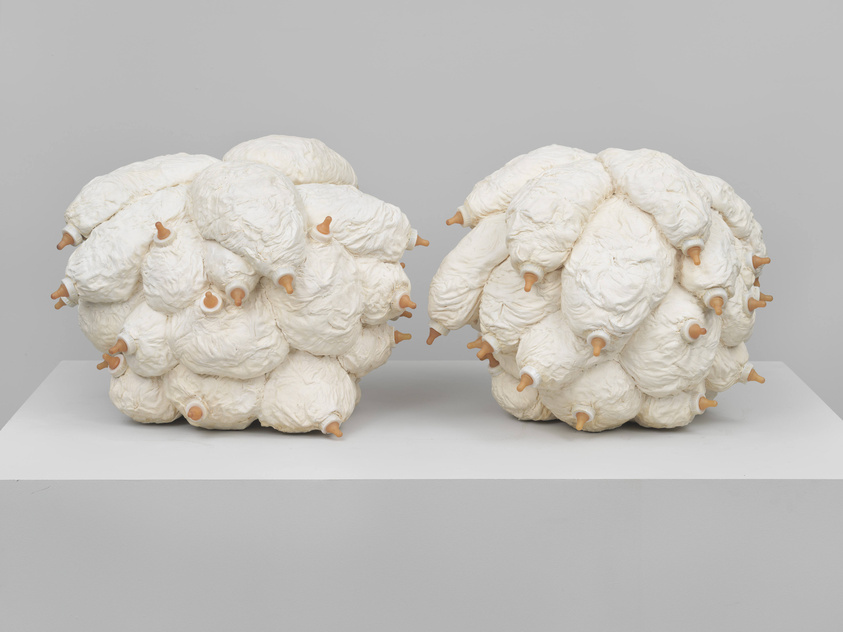 Two large, rounded sculptures resembling clusters of white, textured pods or organic shapes with multiple small, nipple-like protrusions, displayed on a flat surface against a neutral background.