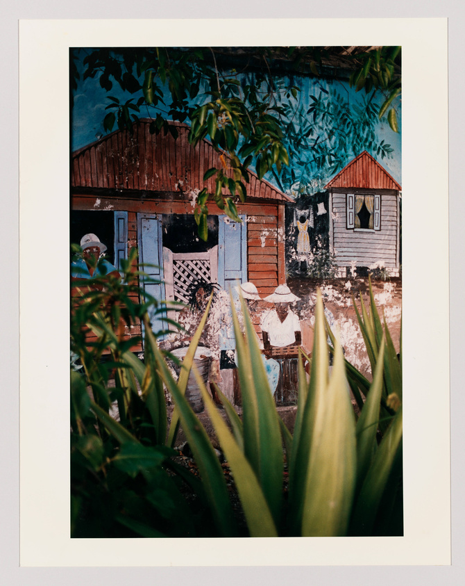 A photograph of a rustic house with peeling paint and a mural of tropical foliage on the wall behind it. In the foreground, there are vibrant green plants partially obscuring the view. A figure appears to be peeking out from behind the doorway of the house.