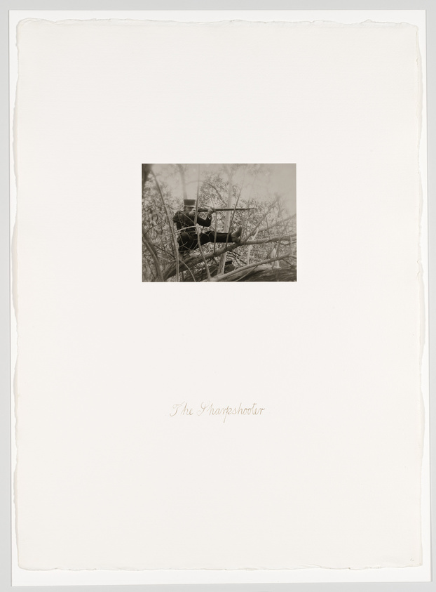 A person with a rifle is perched in a tree, surrounded by branches. The text "The Sharpshooter" is written below the image.