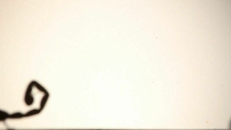 A scorpion's tale showing on an artwork by Jill Magic.