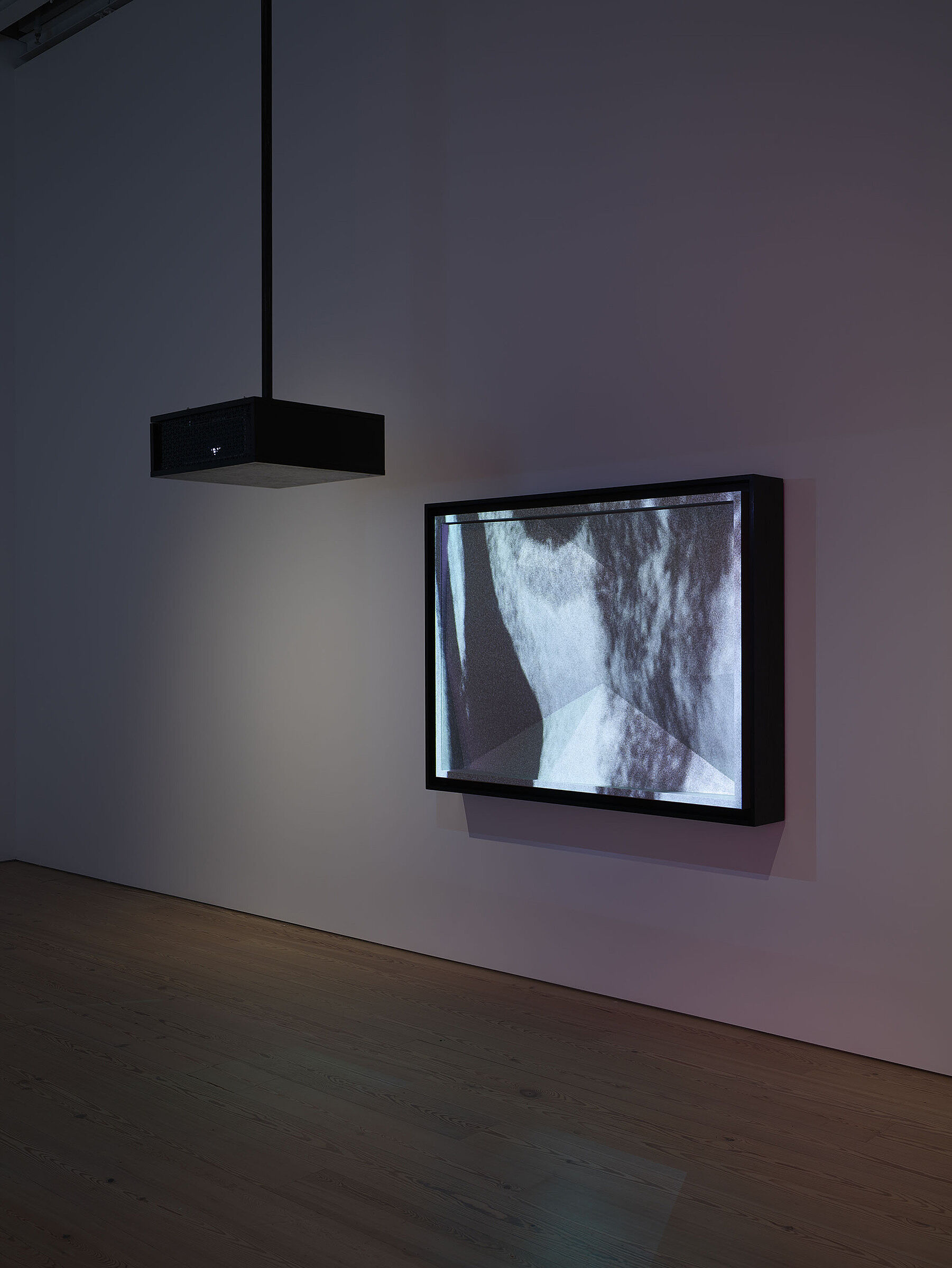 A video screen on a gallery wall of the Dreamlands exhibit at the Whitney Museum.