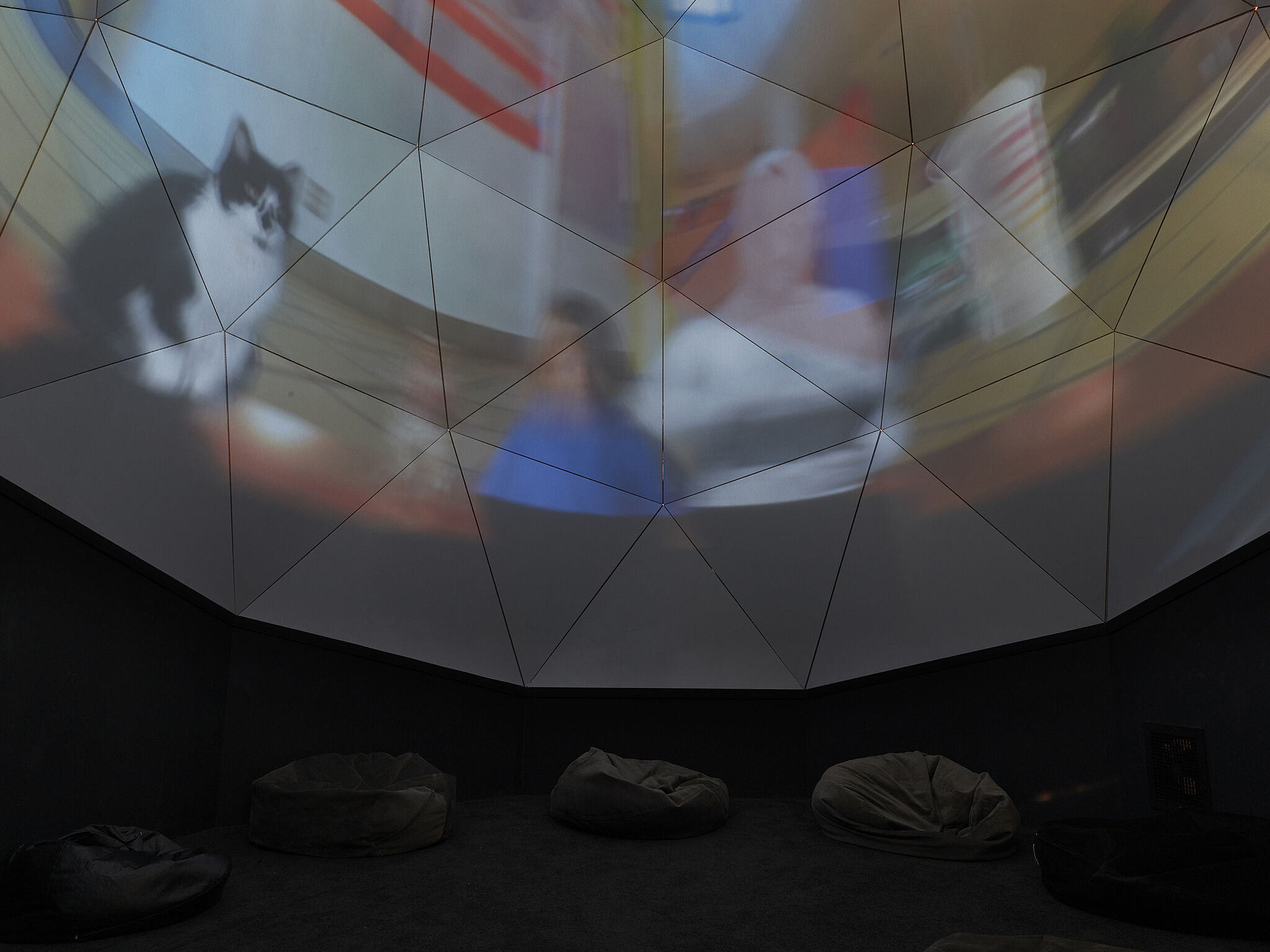 A video projection of a cat and people on a domed screen.