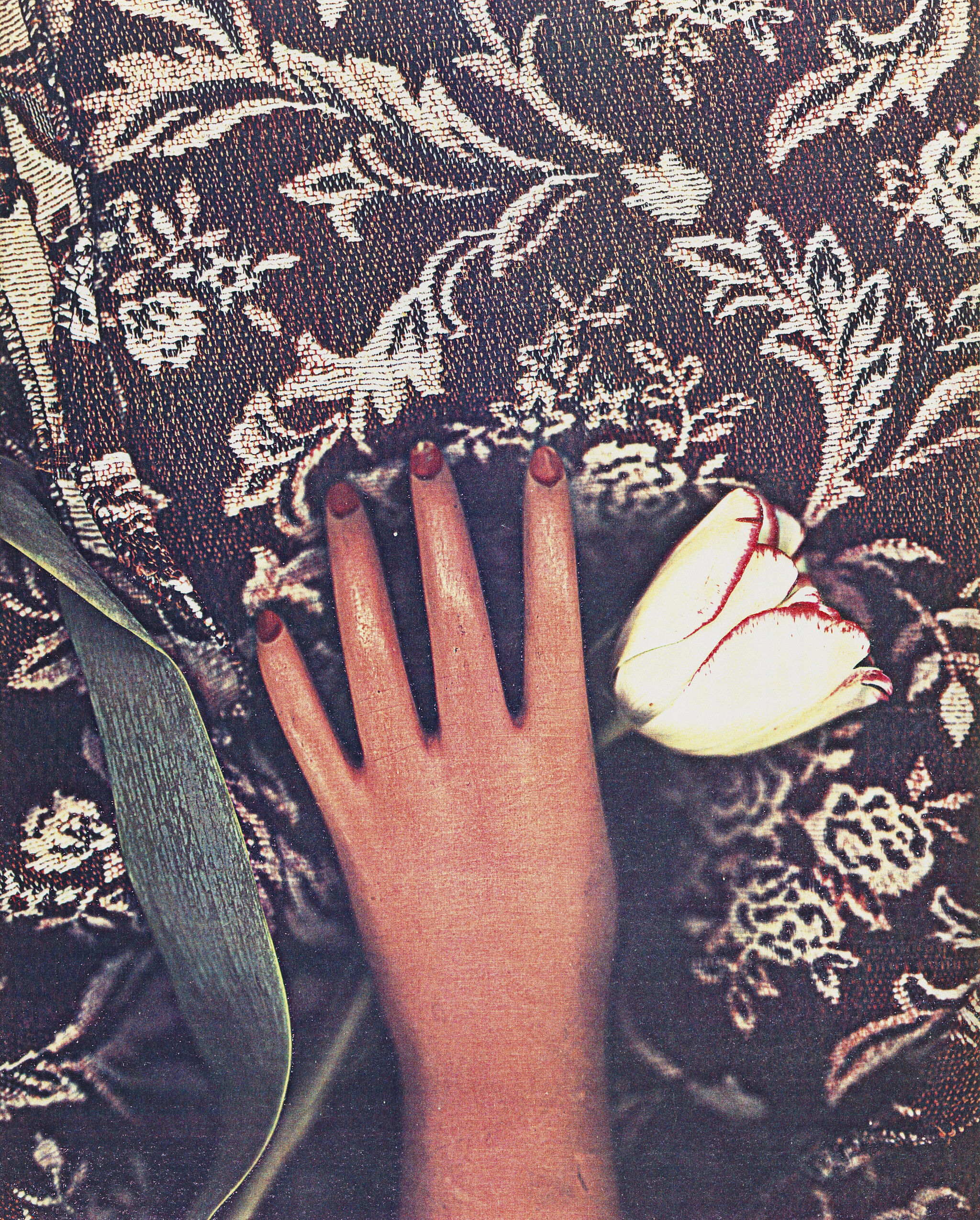 Photocopy collage of a woman's hand holding a flower.