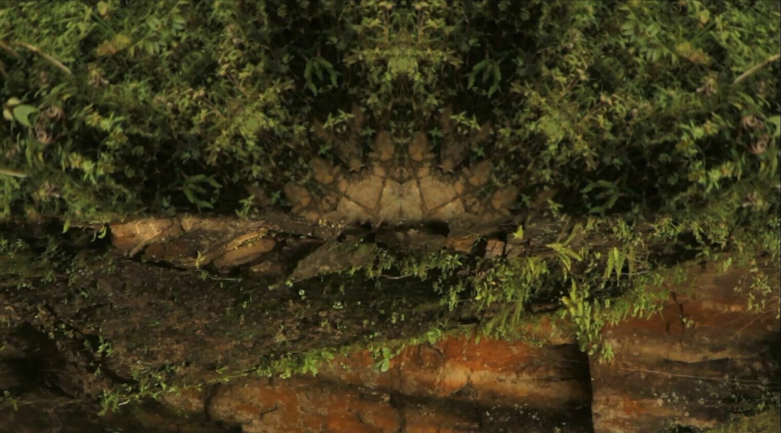 Kaleidoscopic earth-tones