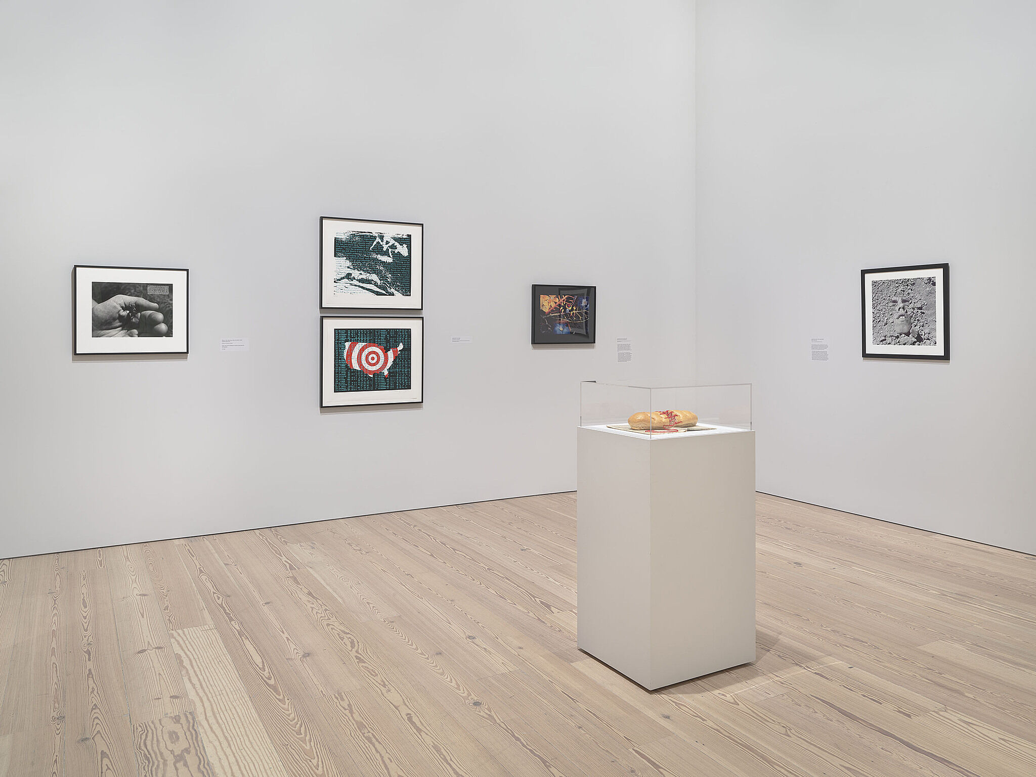 Installation view of David Wojnarowicz exhibition.