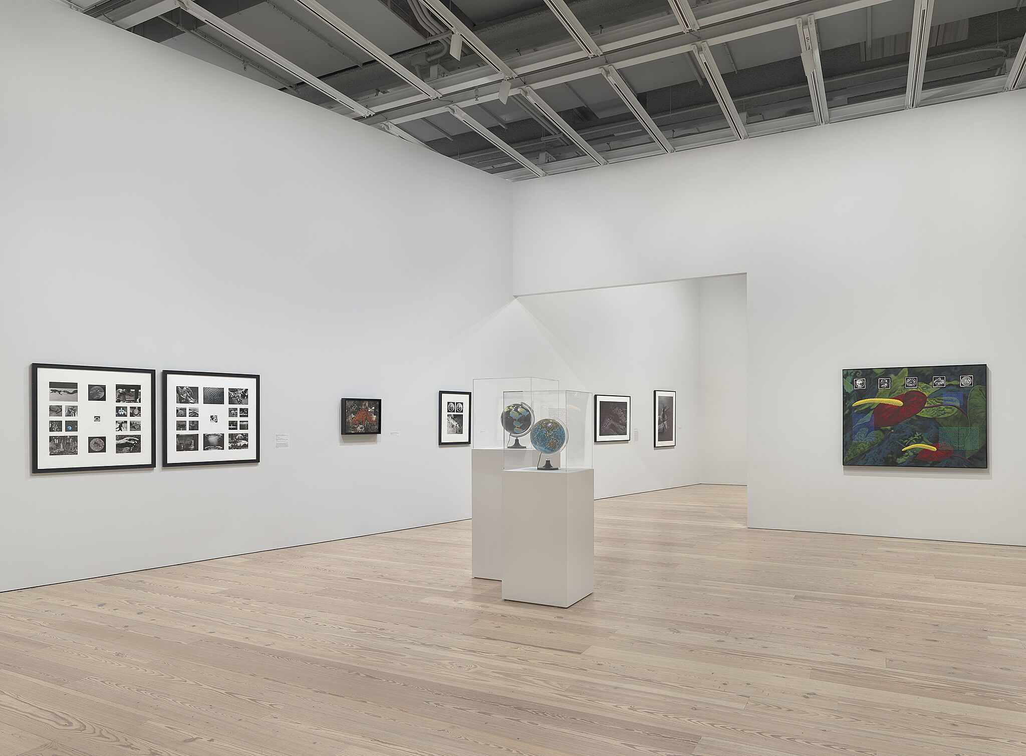 An image of the Whitney galleries with various artworks on the wall