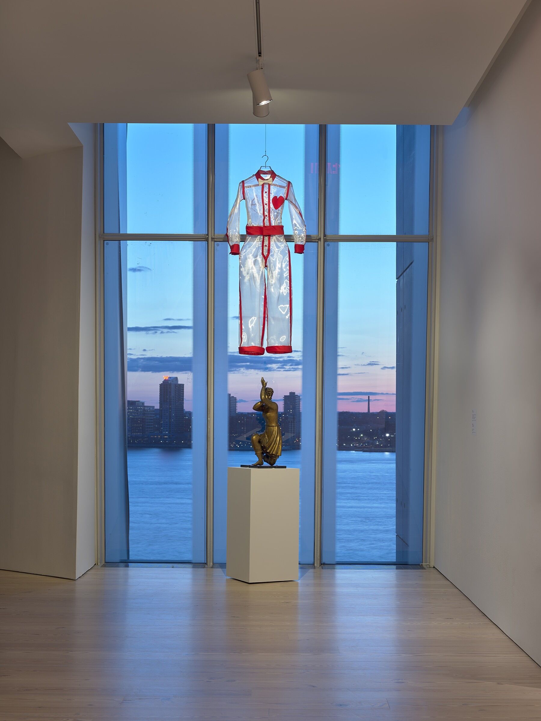 A sheer white costume hanging in front of a window.