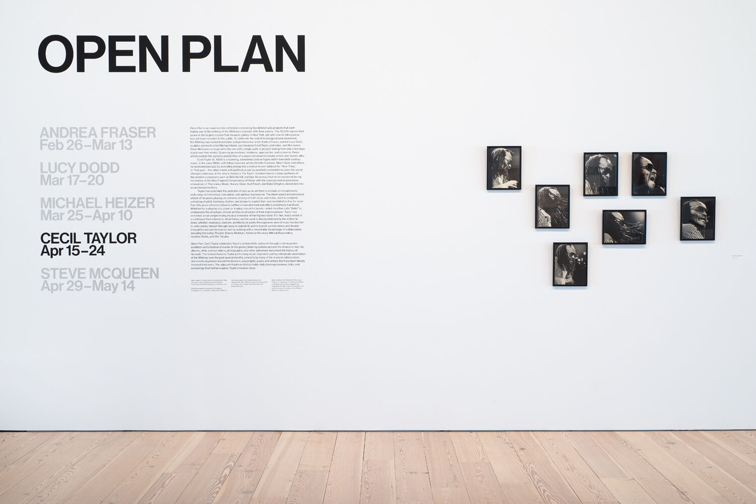 Wall text for an exhibition in a gallery.