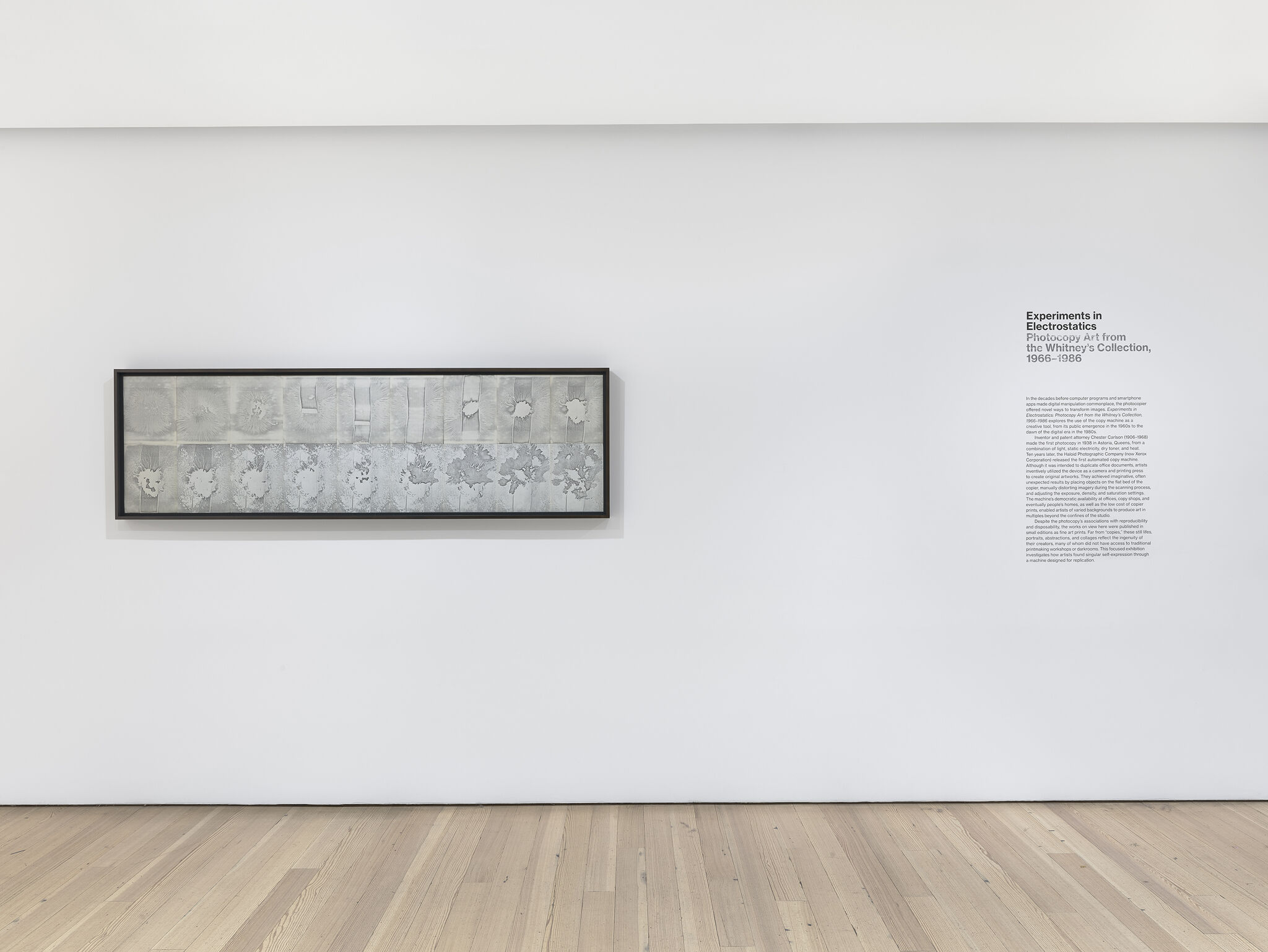 Art displayed alongside wall text in a gallery.